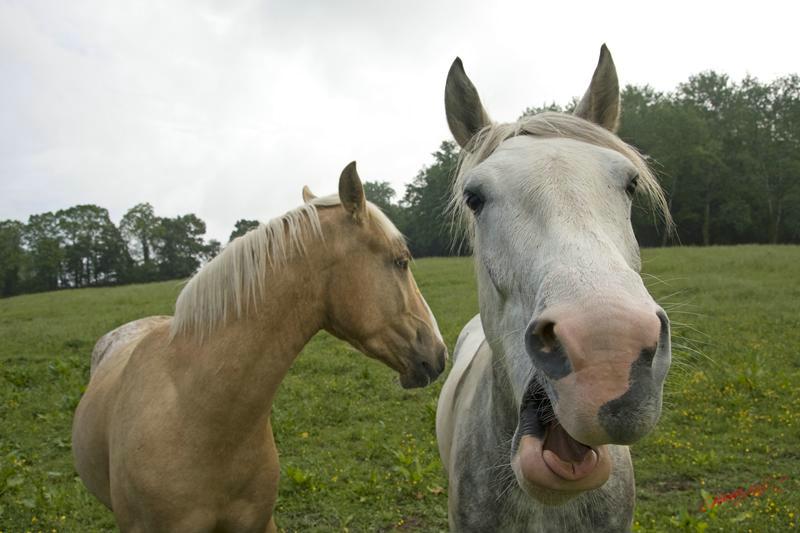 Cjp_2010_05_28_073508 (2).jpg